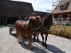 Freilandmuseum